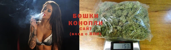 стафф Богородицк