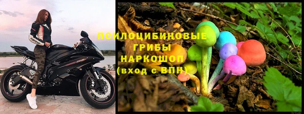 сатива Волоколамск
