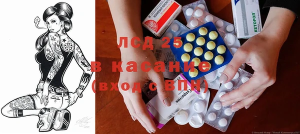 стафф Богородицк