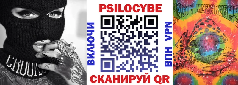 Галлюциногенные грибы Psilocybine cubensis  Венёв 