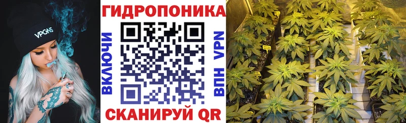 blacksprut Венёв Шишки марихуана семена
